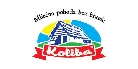 Logo 17